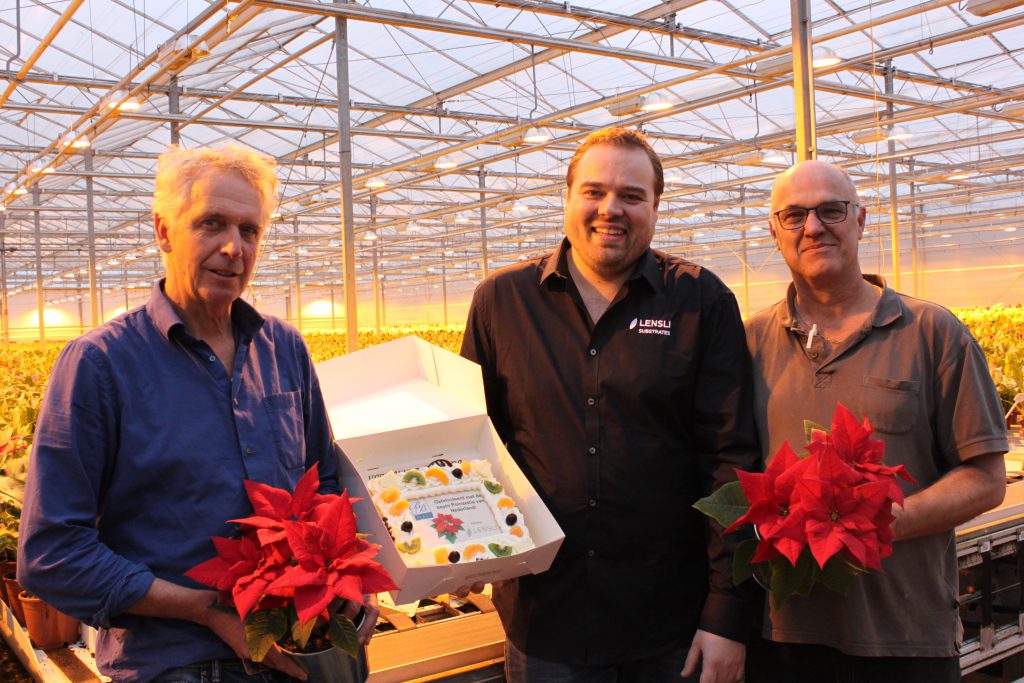 Bram Breugem kweekt beste Poinsettia