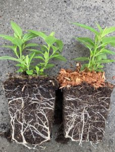 Vlnr- Peatfree – Peat-lensli substrates