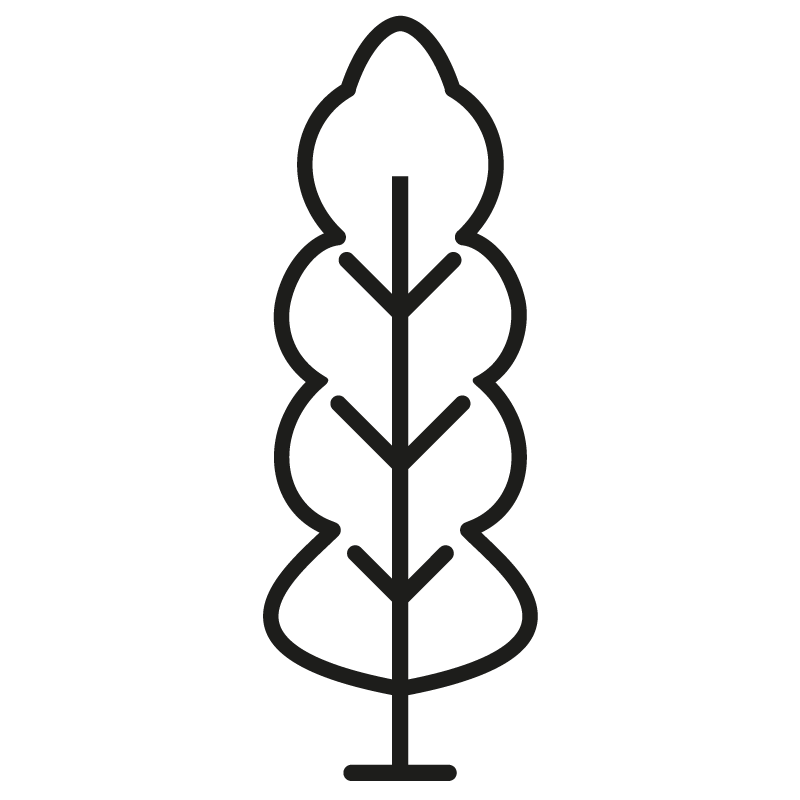 substraat-iconen-boomkwekerij-zwart